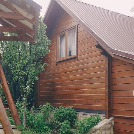 Будиночок В Карпатах Jaremtsche Exterior foto