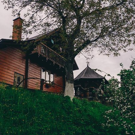 Будиночок В Карпатах Jaremtsche Exterior foto